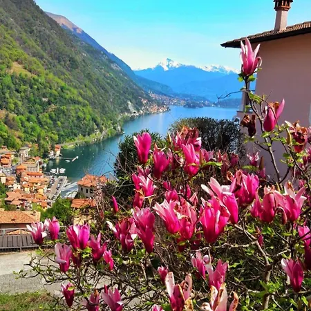 Villa Haven - Argegno