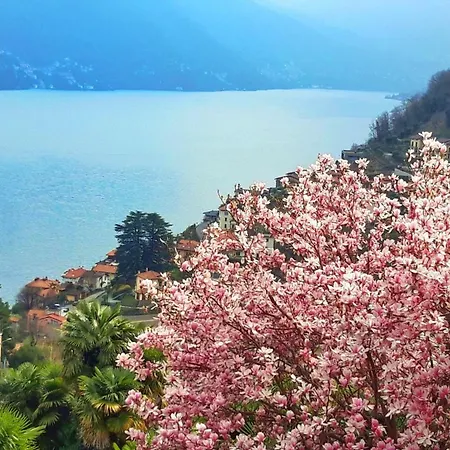 Haven - Villa